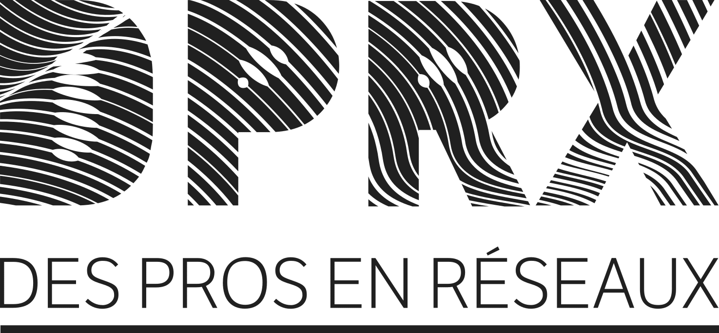 Logo DPRX DES PROS EN RÉSEAUX