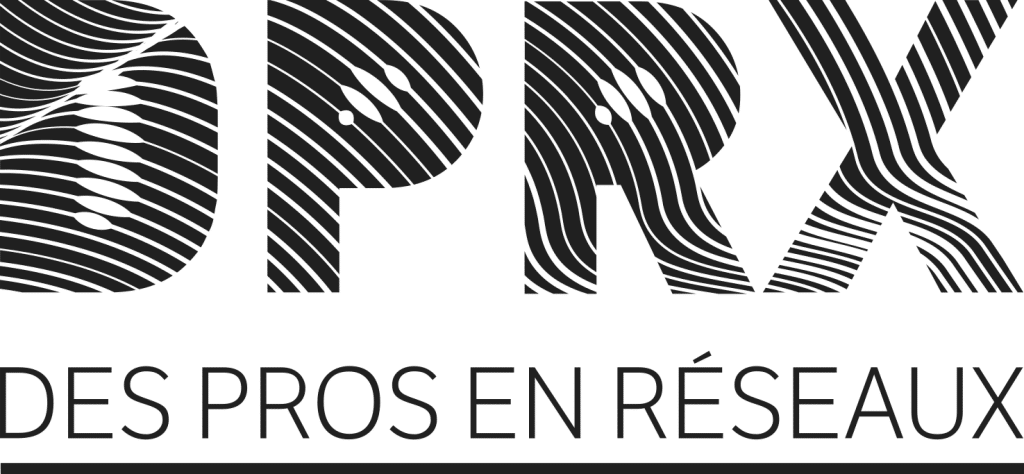 Logo DPRX DES PROS EN RÉSEAUX