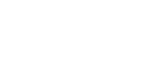 Logo DomPro